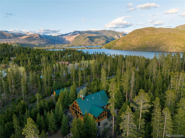 birds eye view of property featuring a mountain view