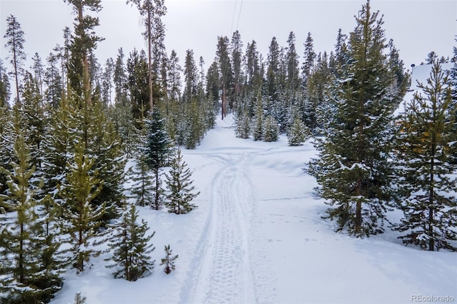 view of snowy view