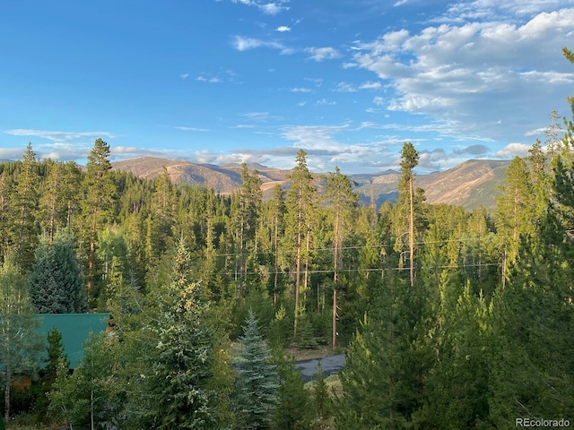 460 Gcr 466, Grand Lake, CO 80447 - view of mountain feature featuring a forest view