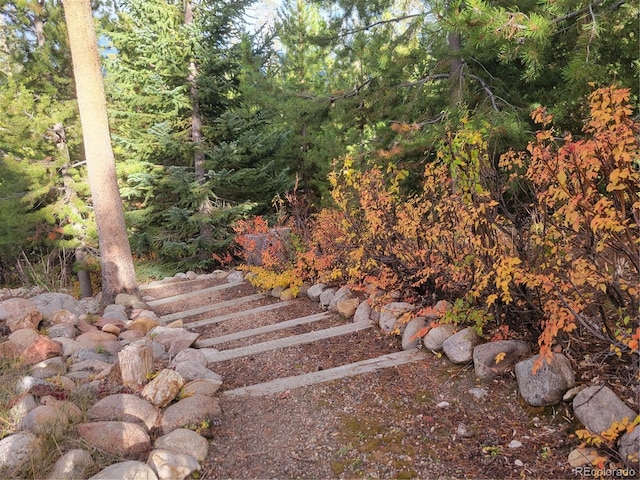 460 Gcr 466, Grand Lake, CO 80447 - view of yard