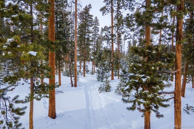 460 Gcr 466, Grand Lake, CO 80447 - view of yard covered in snow