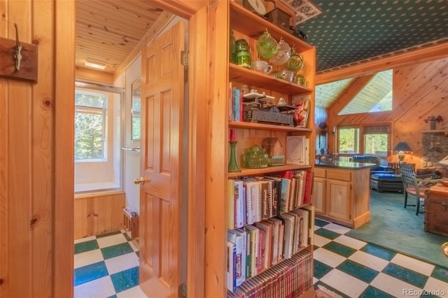 460 Gcr 466, Grand Lake, CO 80447 - hall featuring wood walls, plenty of natural light, and light floors