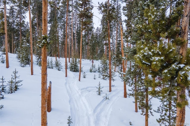 460 Gcr 466, Grand Lake, CO 80447 - view of yard layered in snow