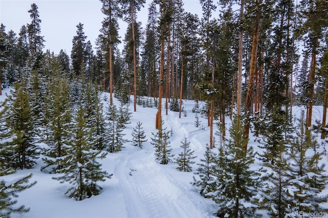 460 Gcr 466, Grand Lake, CO 80447 - view of yard layered in snow
