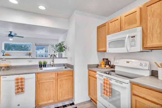 kitchen with white appliances, sink, light hardwood / wood-style flooring, ceiling fan, and light brown cabinetry