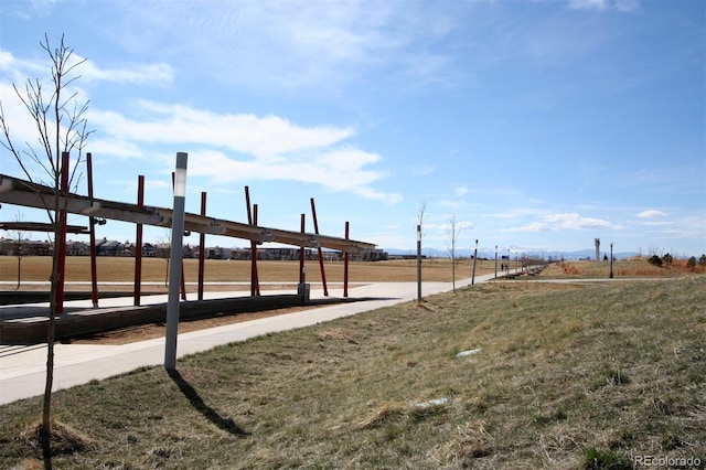 1969 Uinta St, Denver, CO 80220 - view of green lawn