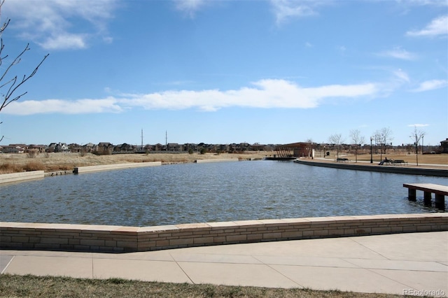 1969 Uinta St, Denver, CO 80220 - view of dock area