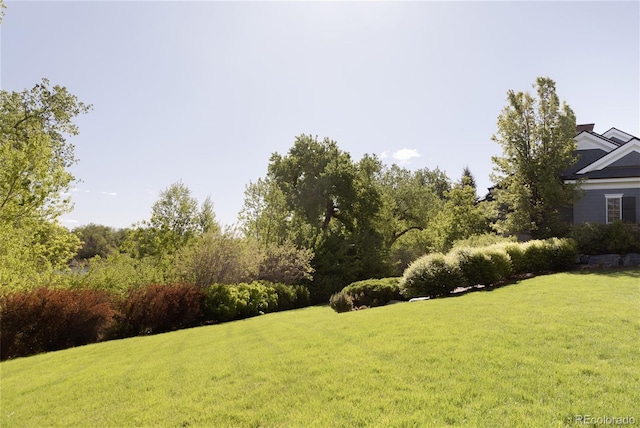 5470 S Highline Cir, Greenwood Village, CO 80121 - view of green lawn