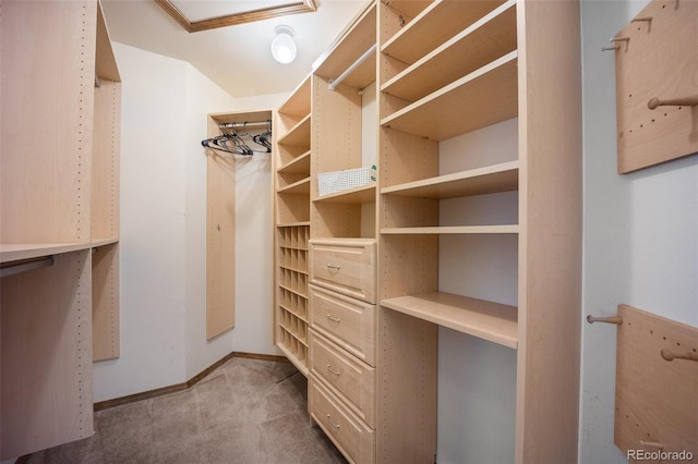 2035 Springcrest Rd, Colorado Springs, CO 80920 - walk in closet with carpet flooring