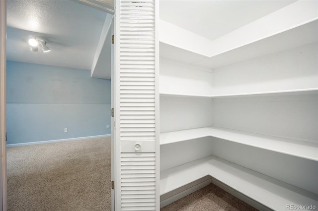 2035 Springcrest Rd, Colorado Springs, CO 80920 - view of storage area