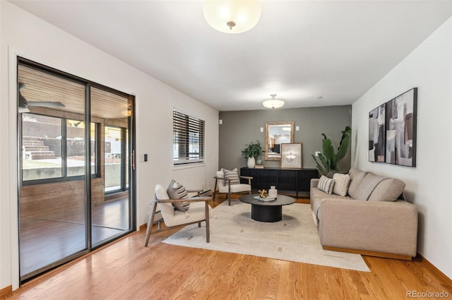 living room featuring wood finished floors