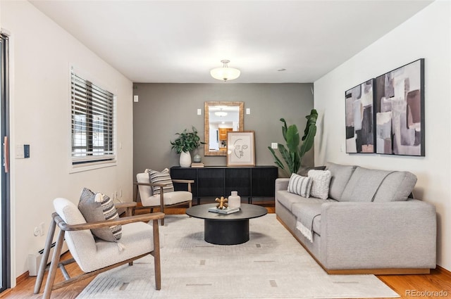 living area featuring baseboards and wood finished floors