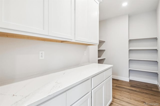 walk in closet with light wood finished floors