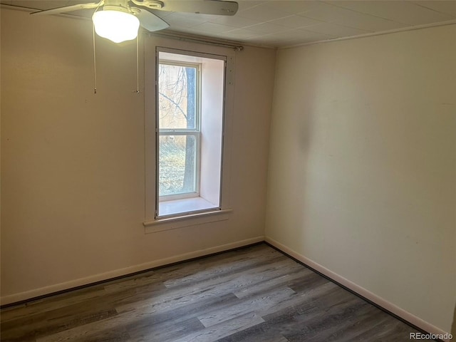 spare room with wood-type flooring and ceiling fan