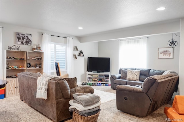 861 Sunlight Peak Dr, Severance, CO 80550 - photo 29