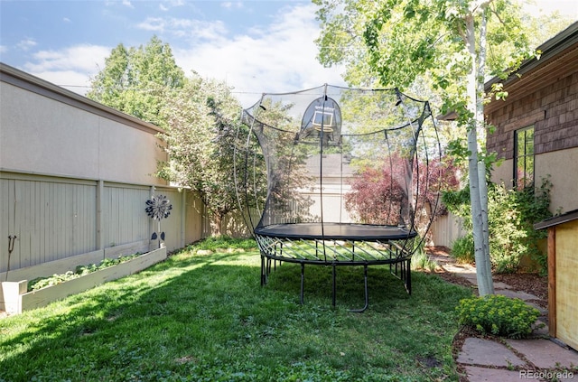 1143 S Saint Paul St, Denver, CO 80210 - view of yard with a trampoline