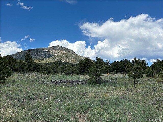 Listing photo 3 for 469 Elk Ridge Trl, South Fork CO 81154