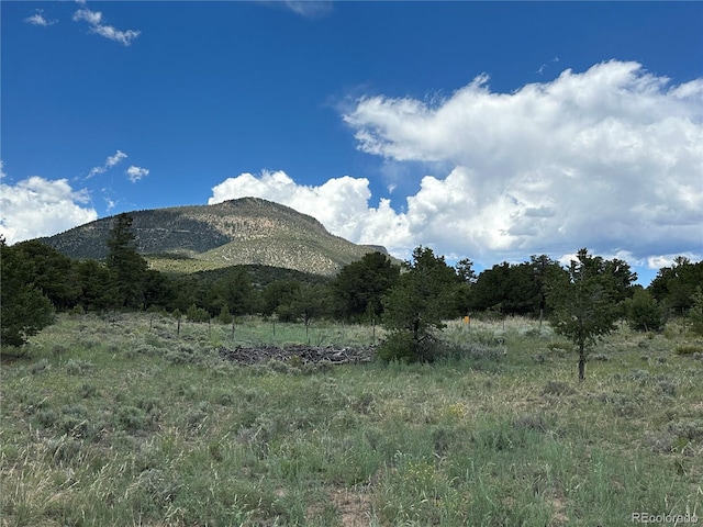 Listing photo 3 for 469 Elk Ridge Trl, South Fork CO 81154