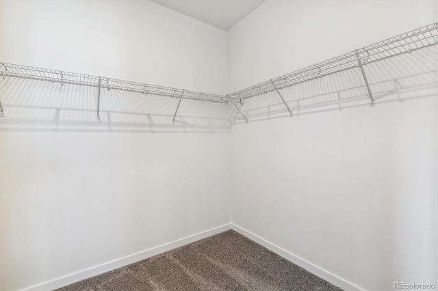 39161 Anthony St, Elizabeth, CO 80107 - spacious closet featuring dark carpet