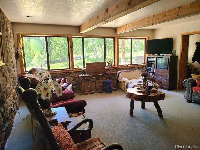 2703 Dave Wood Rd, Montrose, CO 81403 - living room featuring light colored carpet, healthy amount of natural light, beamed ceiling, and a textured ceiling