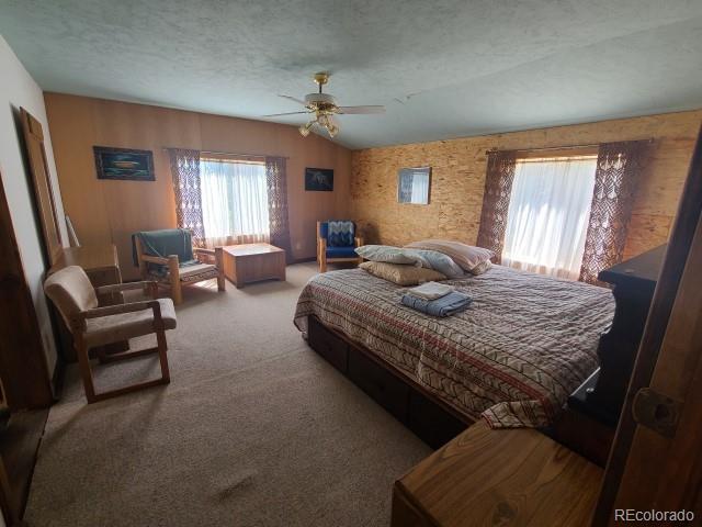 2703 Dave Wood Rd, Montrose, CO 81403 - carpeted bedroom with multiple windows, ceiling fan, and a textured ceiling