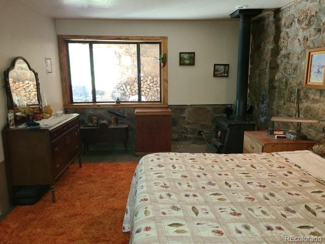 2703 Dave Wood Rd, Montrose, CO 81403 - bedroom featuring a wood stove and carpet floors