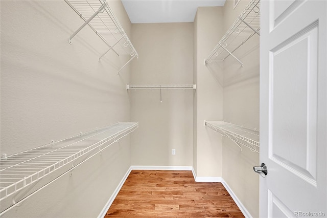 walk in closet featuring hardwood / wood-style flooring