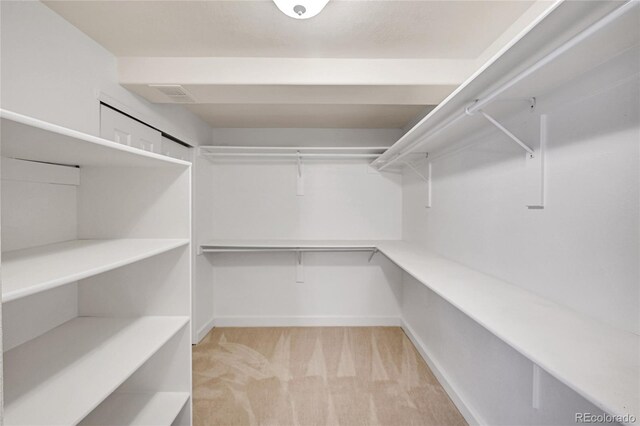 spacious closet with light carpet