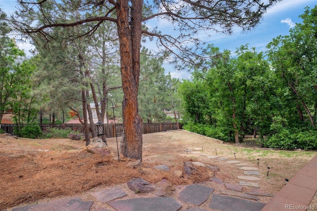 969 Pulpit Rock Ct, Colorado Springs, CO 80918 - view of yard