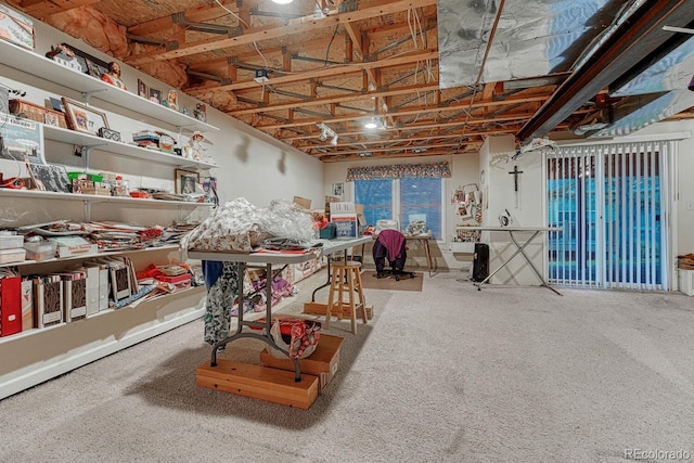 misc room with carpet flooring