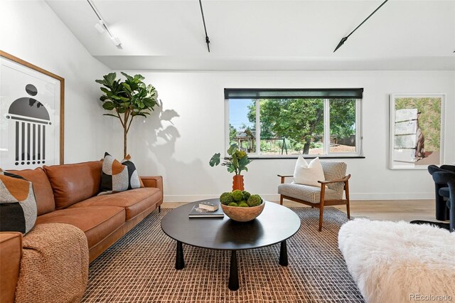 1920 S Niagara St, Denver, CO 80224 - living area with wood finished floors and track lighting