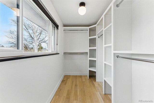 1920 S Niagara St, Denver, CO 80224 - spacious closet featuring light wood-type flooring