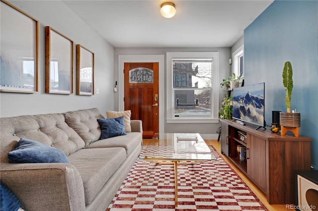 living room with wood-type flooring