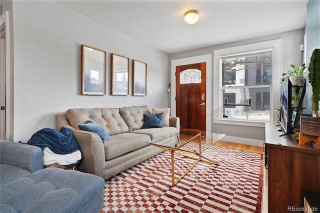 living room featuring hardwood / wood-style flooring