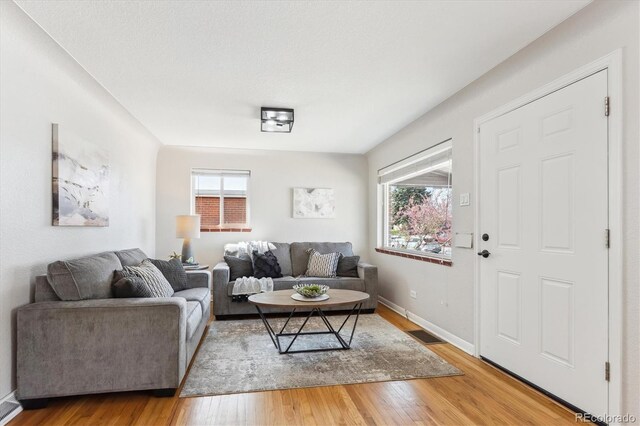 3258 Niagara St, Denver, CO 80207 - living room featuring healthy amount of natural light, light wood-type flooring, and baseboards