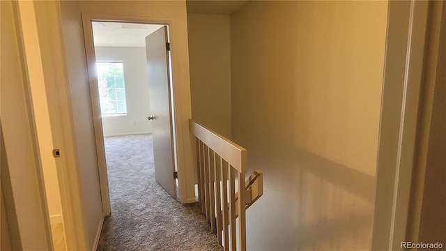 1818 S Quebec Way Unit 5-7, Denver, CO 80231 - hall featuring an upstairs landing, dark colored carpet, and baseboards