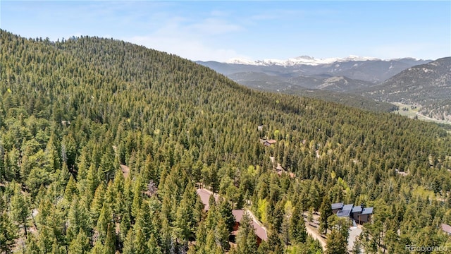 4618 SE Summit Trl, Evergreen, CO 80439 - view of mountain background with a heavily wooded area