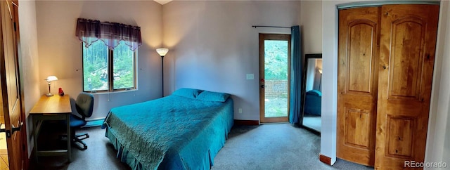 4618 SE Summit Trl, Evergreen, CO 80439 - bedroom with baseboards, carpet flooring, and access to exterior