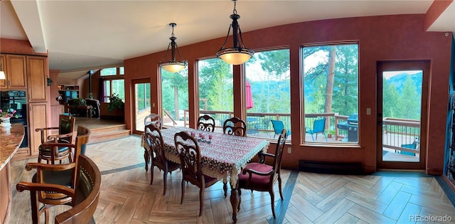 4618 SE Summit Trl, Evergreen, CO 80439 - dining room featuring a baseboard heating unit and plenty of natural light