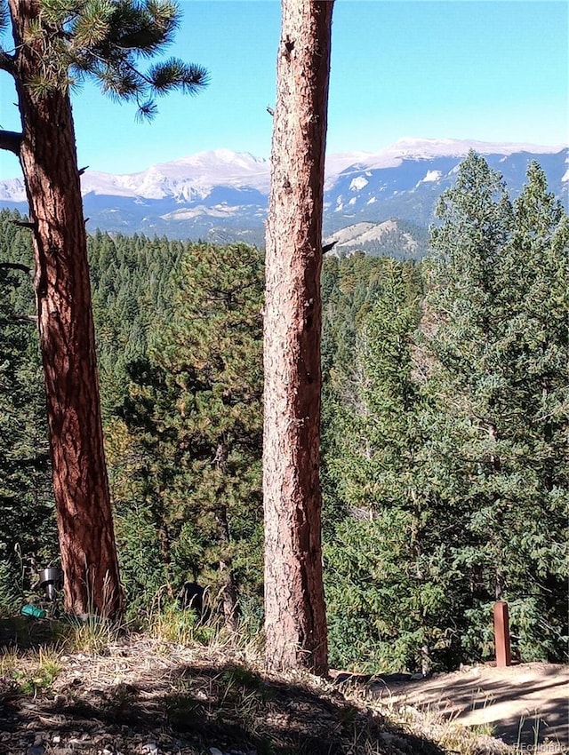4618 SE Summit Trl, Evergreen, CO 80439 - view of mountain background featuring a forest
