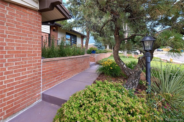 2141 S Dallas St, Denver, CO 80231 - view of yard