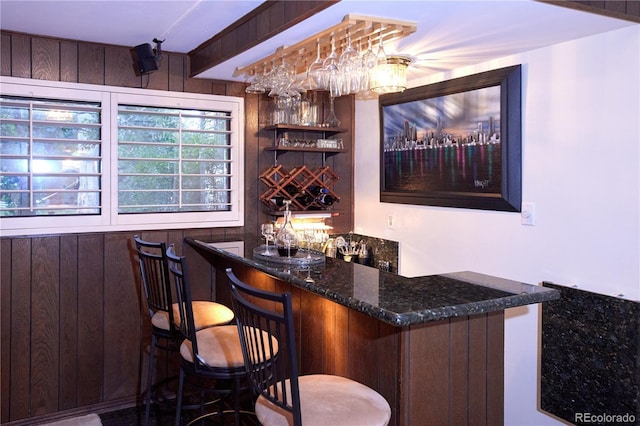 2141 S Dallas St, Denver, CO 80231 - indoor wet bar with wooden walls