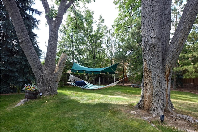 2141 S Dallas St, Denver, CO 80231 - view of grassy yard