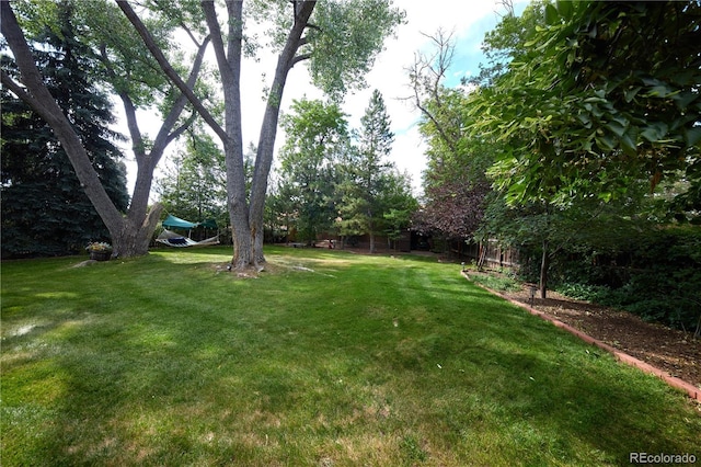 2141 S Dallas St, Denver, CO 80231 - view of grassy yard