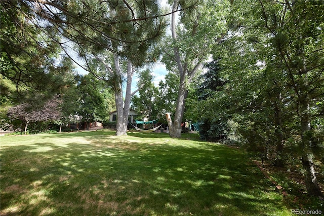 2141 S Dallas St, Denver, CO 80231 - view of grassy yard