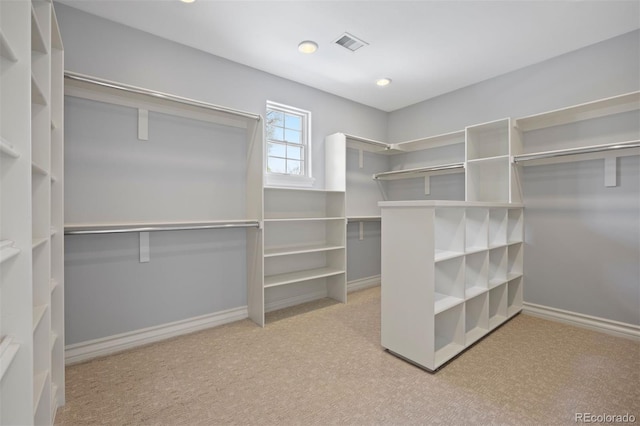 walk in closet with carpet floors