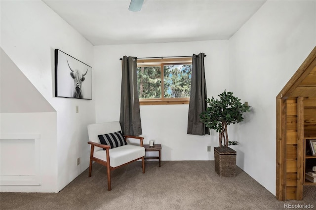 sitting room with carpet