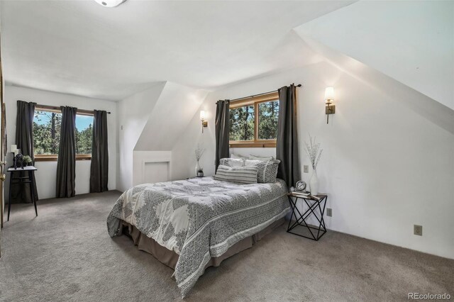 bedroom featuring multiple windows, lofted ceiling, and carpet