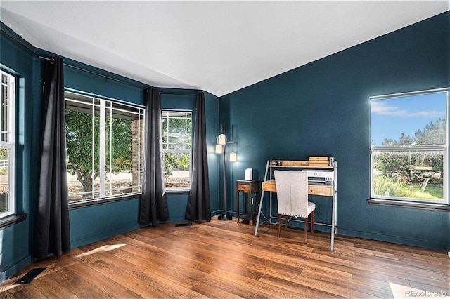 10731 E 151st Pl, Brighton, CO 80602 - home office with wood finished floors and lofted ceiling