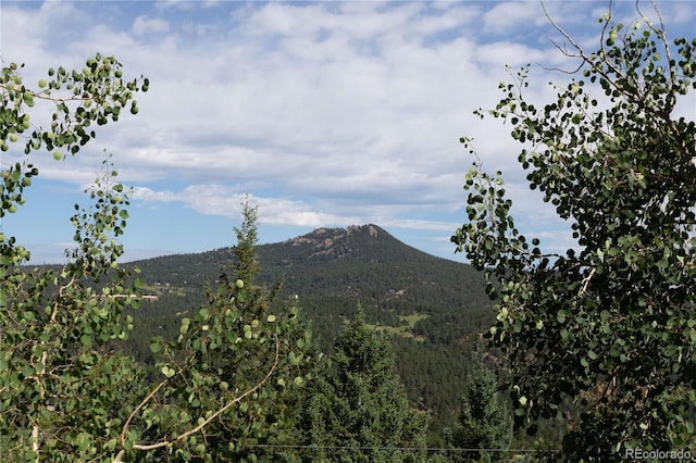 mountain view with a forest view